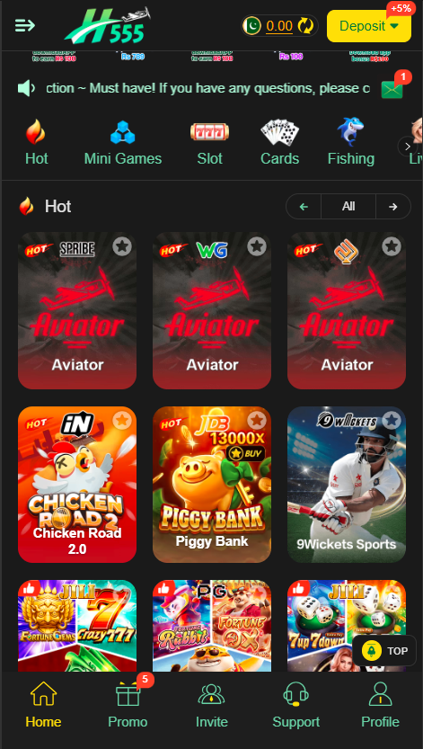 H555 Game